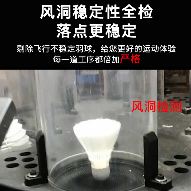 RSL亚狮龙羽毛球5号官方正品旗舰室内比赛训练专业耐打12只装亚5-图1