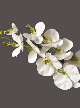 白色红色仿真花胶片蝴蝶兰装饰花
