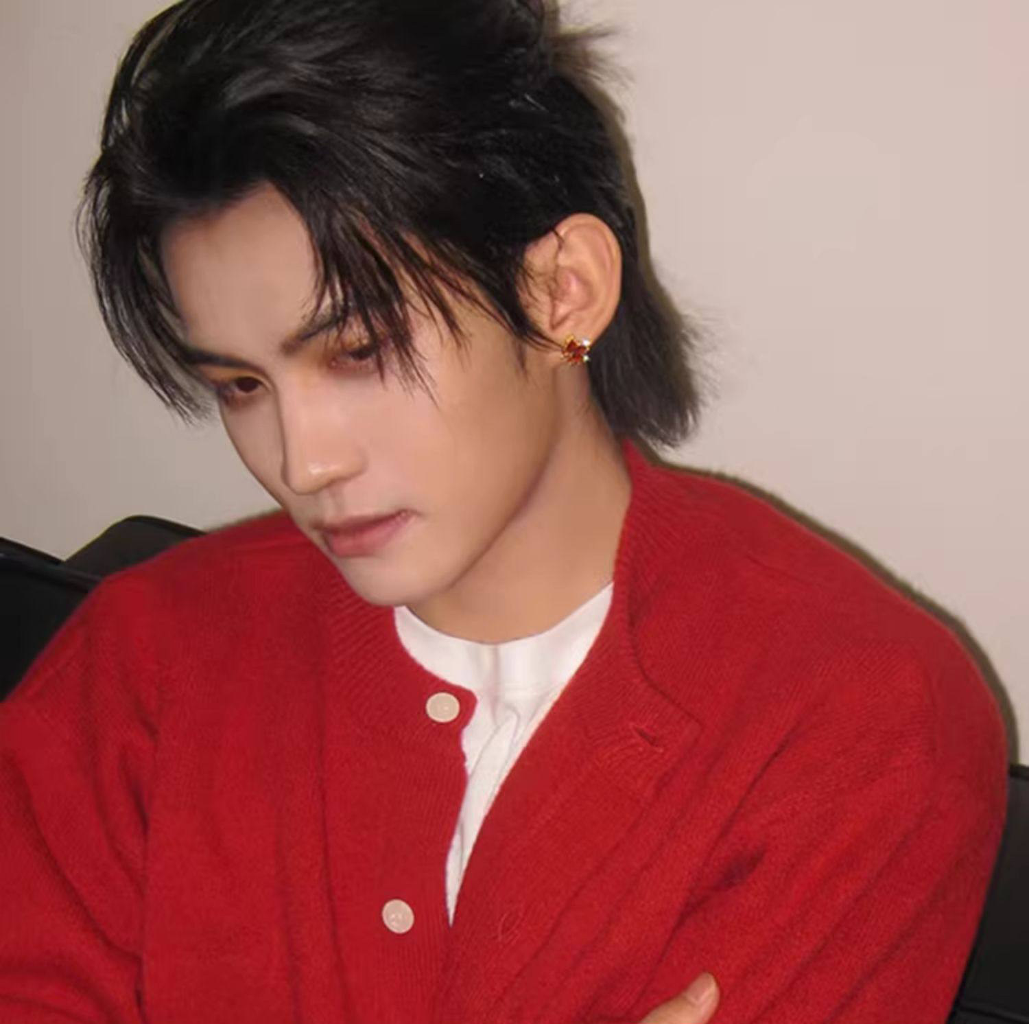 吾岸樊霄云旗同款红色枫叶耳钉男女锆石独特漂亮气质耳环银针耳饰,淘宝优惠券,粉丝福利购,淘宝优惠卷