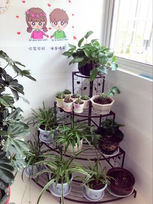 铁艺欧式组装阳台转角阶梯落地式墙角多层四层花盆架客厅三角花架 - 图2