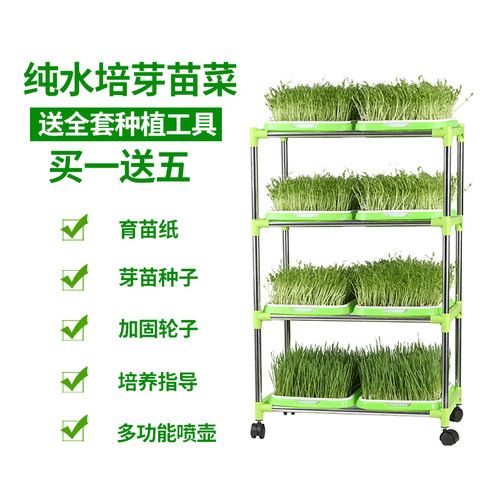 豆芽发芽盆芽苗菜育苗盘家用水培无土栽培蔬菜种孑籽豌豆尖种植盘 - 图1