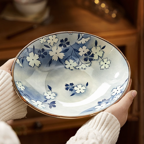 日式釉下彩盘子菜盘家用2026新款碗碟餐具陶瓷好看的漂亮深盘汤盘 - 图0