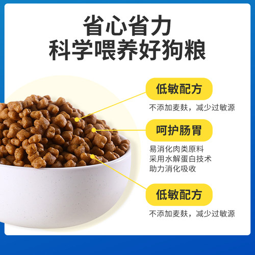 艾顿 狗粮金毛幼犬专用5kg10斤装牛肉味美味中犬粮毛 - 图0