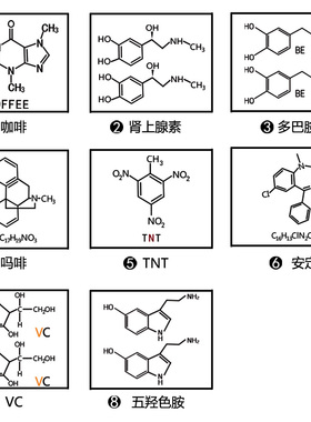 化学分子式纹身贴玩味高级感