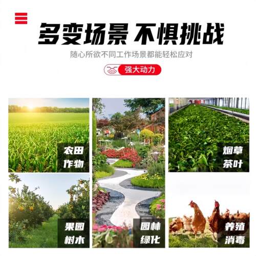 重庆本田新款汽油打药机喷雾器新款全自动三柱塞高压农用强力打药 - 图3