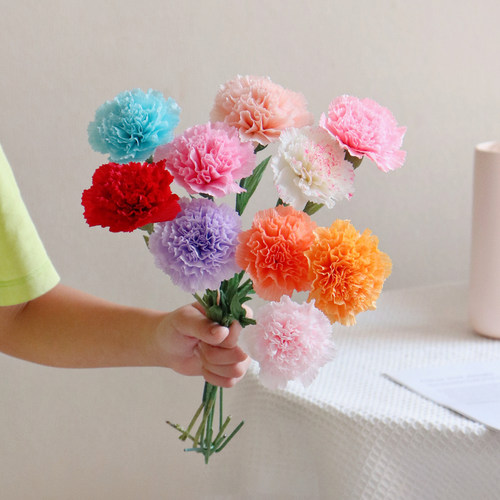 花心思纸艺 皱纹纸康乃馨DIY材料包手工花束 手工纸花diy材料包 - 图0