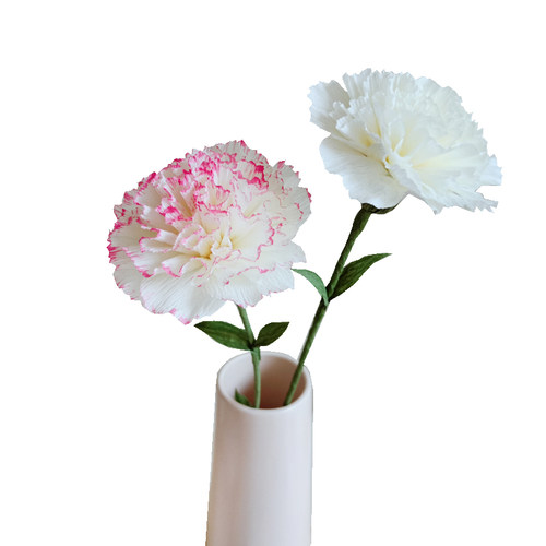 花心思纸艺 皱纹纸康乃馨DIY材料包手工花束 手工纸花diy材料包 - 图3