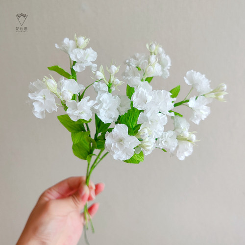 花心思纸艺 皱纹纸茉莉花材料包 手工纸花制作套装 - 图0