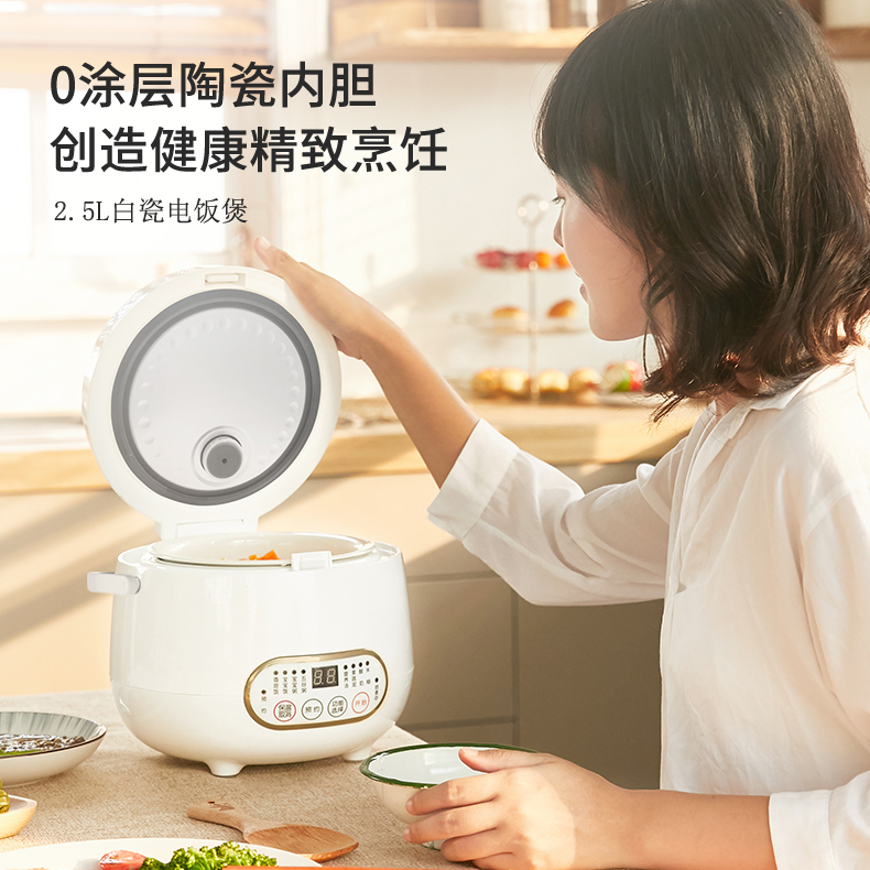 浩特2.5升涂层陶瓷内胆智能电饭煲 浩特电饭煲