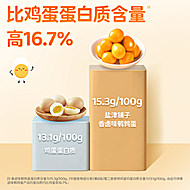 盐津铺子鹌鹑蛋盐焗卤蛋小包装即食零食