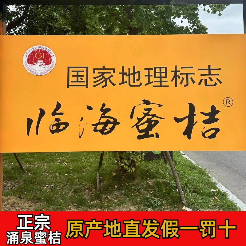 正宗临海涌泉高山蜜桔当季新鲜水果无核现摘现发贡品级爆汁包邮,淘宝优惠券,粉丝福利购,淘宝优惠卷