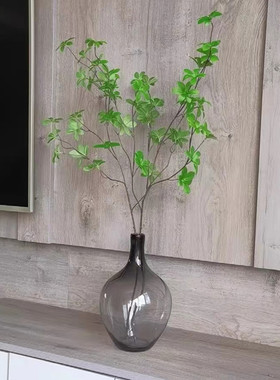 小口大肚简约透明玻璃花瓶