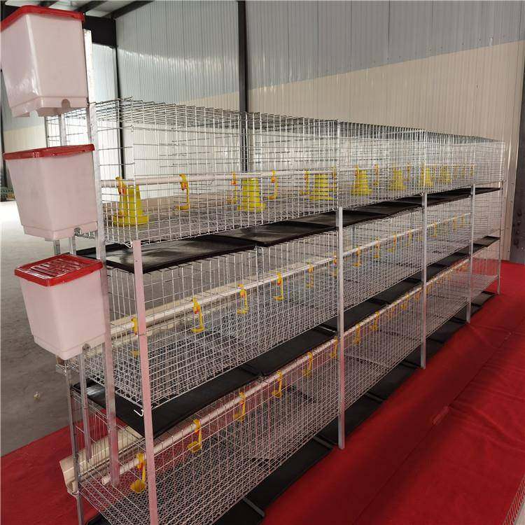 特种养殖设备肉鸡笼H型框架笼鸡舍养殖鸡窝镀锌工艺层养殖专用,淘宝优惠券,粉丝福利购,淘宝优惠卷