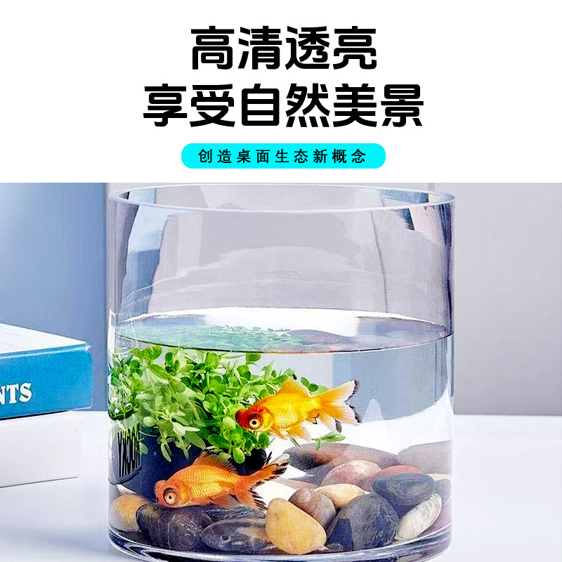 透明玻璃圆柱直筒鱼缸桌面生态小型金鱼缸造景水培养鱼养龟两用,淘宝优惠券,粉丝福利购,淘宝优惠卷