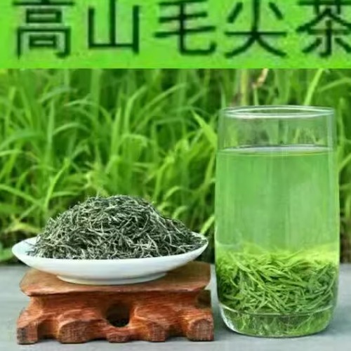 2024新茶保康绿茶高山云雾类芽毛尖明前秋茶特级500g芽茶 - 图1