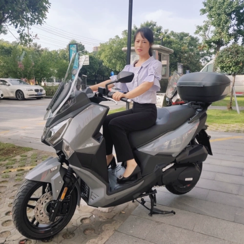 Sanyang jiuyou 300f хвостовой набор