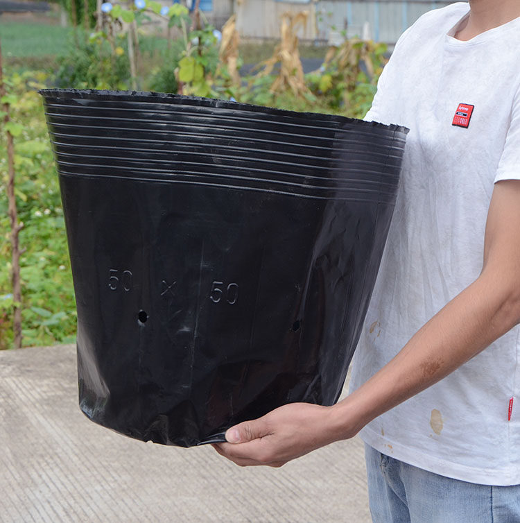 营养杯育苗杯营养钵育苗盆塑料加厚一次性农用营养袋育苗袋花盆大,淘宝优惠券,粉丝福利购,淘宝优惠卷