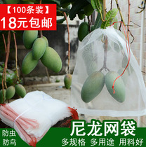 Fruit tree anti-insect mesh bag Anti-bird gauze bag to protect the grape bag without fig guava strawberry bagging peach bagging