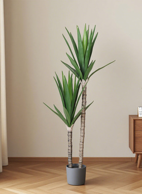 跨境人造剑麻树盆栽龙舌兰假树室内家居摆件橱窗造景装饰仿真绿植