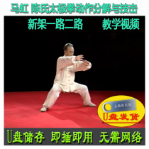 Ma Hong Chen Style Taijiquan Action Decomposition and Its Terror Usage U pan video Chens new frame all the way