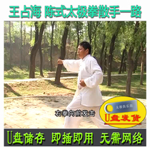 Wang Zhanhai Chen-style Taijiquan Boxer all the way U disc video Chens skills Real-war Application Set of Road Appreciation