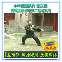 Zhang Dongwu Chen-style Taijiquan II Road and Real Warring U-disc video teaching explain Chens gun hammer 41 style