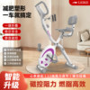 Lake Magnetic Foldable Exercise Bike Indoor Bike