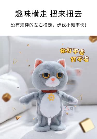 卖萌小猫  唱歌跳舞