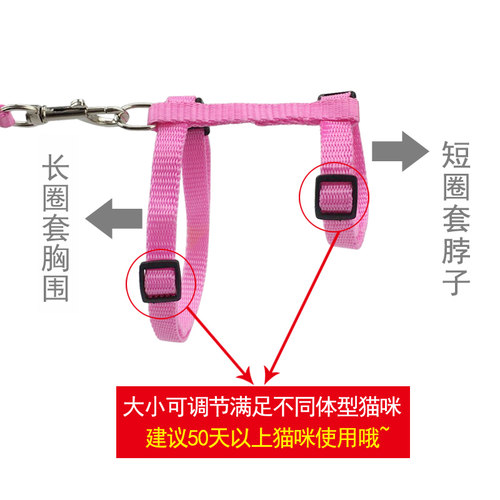 遛猫绳猫咪牵引绳防挣脱溜猫绳胸背带猫专用小狗绳猫项圈猫咪用品 - 图1