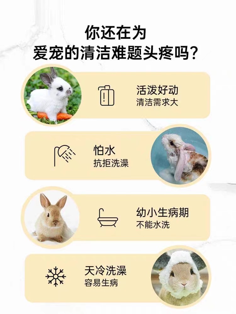 宠物兔免洗手套湿巾 兔子干洗龙猫豚鼠洗澡清洁除臭一次性纸巾6片,淘宝优惠券,粉丝福利购,淘宝优惠卷