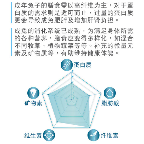 兔博士DR312高纤维专业除臭成兔粮垂耳兔主粮饲料兔子粮食1kg包邮 - 图1