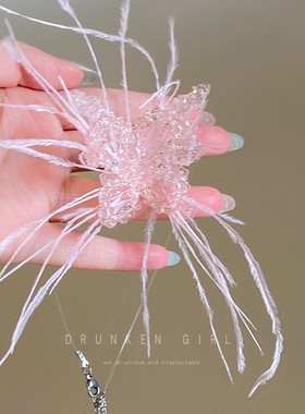 超仙水晶蝴蝶羽毛项链