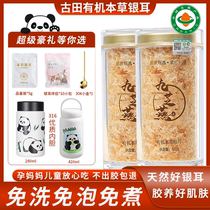 Gutian alpine organic silver ear-free soak-free brewing ready-to-eat silver ears Herbal Silver Ears Pregnant pregnant women reassure children