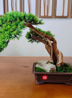 崖柏根艺盆景直播专拍链接