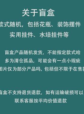 特价花瓶盲盒外贸清仓摆件捡漏装饰玻璃挂件桌面家居装饰随机福袋