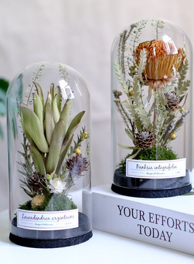 芊蒂玻璃罩现代摆件简约复古书房