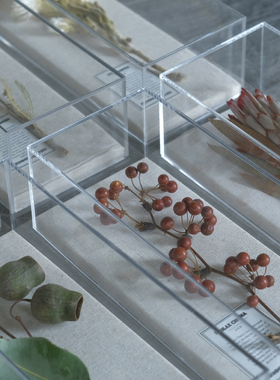 干花植物标本家居摆件现代简约