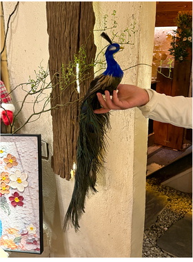 【仿真小孔雀】仿真孔雀动物摆件家居装饰鸟类标本模型真羽毛真实