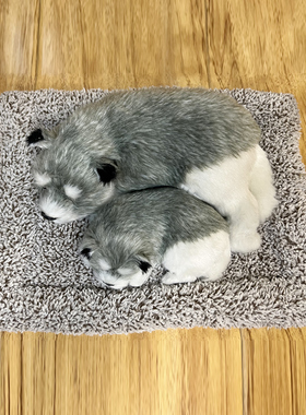 【仿真小狗】狗狗模型摆件皮毛灰白狗睡觉动物模型家居工艺装饰品