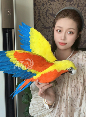 仿真鹦鹉模型真羽毛金刚大鹦鹉装饰摆件摄影小鸟道具客厅动物标本