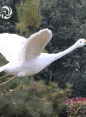 天鹅园林摄影橱窗美陈羽毛摆件