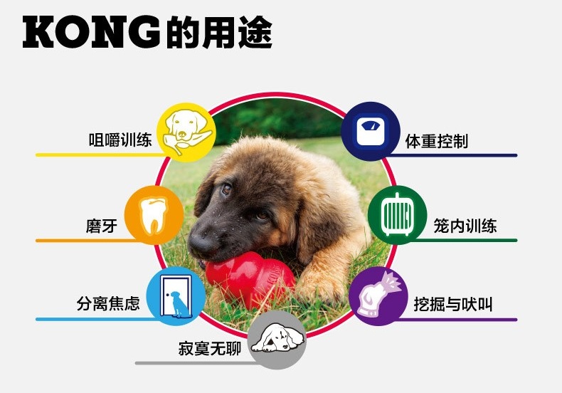 KONG狗玩具美国漏食球玩具耐咬金毛泰迪磨牙经典葫芦训练橡胶玩具-图0