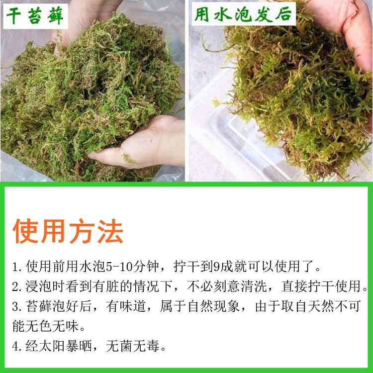 优质干苔藓国洋兰多肉食虫植物培养土透气不烂根水陆缸微景观水草 - 图2