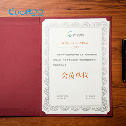 布谷鸟A4创意空白烫金银框奖状纸荣誉证书聘书授权结业证书制作纸 - 图2