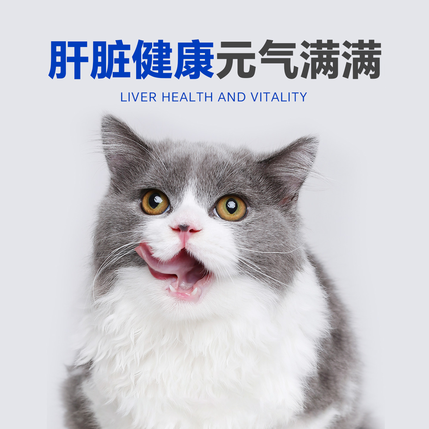 宠儿香肝舒宝宠物专用仅作为肝脏功能营养补充剂猫咪狗狗犬营养品