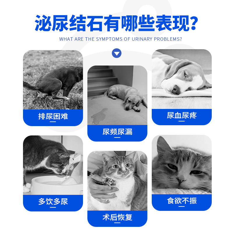 宠儿香泌尿通猫咪狗尿石净尿路结石排尿困难闭尿频滴尿血利尿通尿 - 图1