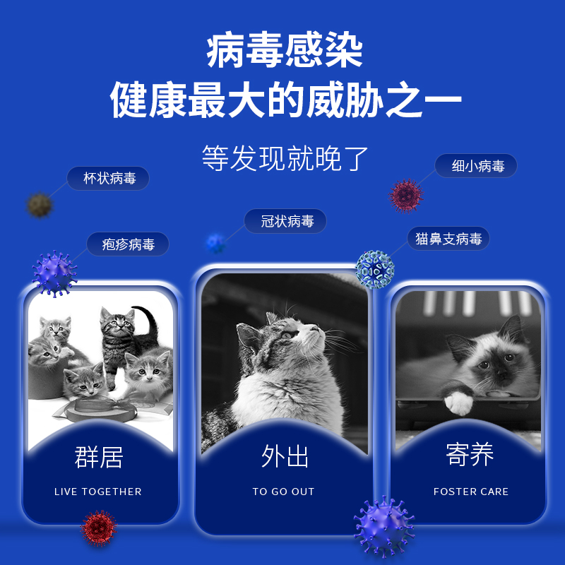 宠儿香浓缩乳铁蛋白胶囊猫咪狗狗狗免疫力调节抵抗力幼犬幼猫鼻支