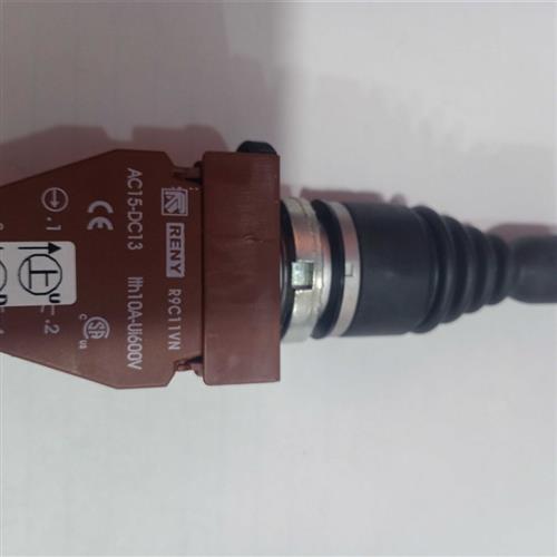 RENY R2MNT4四向复位R9C11VN AC15-DC13 R9C10VN台湾雷力十字开关 - 图1