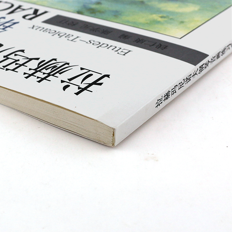 正版拉赫玛尼诺夫钢琴音画练习曲 全新修订版 上海音乐出版社 钢琴入门基础练习曲谱教材书 拉赫玛尼诺夫第二第三钢琴协奏曲谱书 - 图2