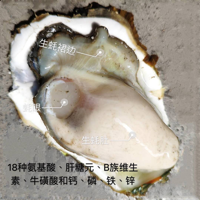 生蚝肉鲜活现剥去壳牡蛎500g海鲜水产即食烧烤特大海蛎子十斤包邮-图1